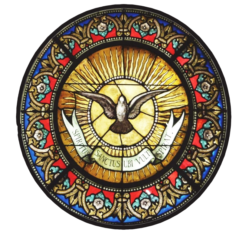Home Missa Gregoriana Como Solicitar Uma Missa Gregoriana home-missa-gregoriana-como-solicitar-uma-missa-gregoriana